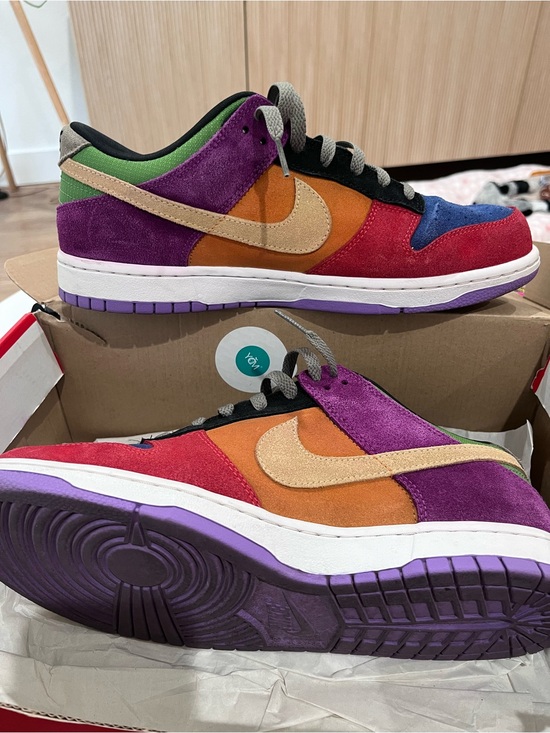 Nike Other - Nike Dunk Low SP Retro VIOTECH